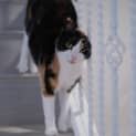 Photo of Lovely