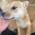 Photo of Maggie