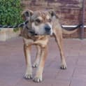 Photo of Meg