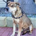 Photo of Meg
