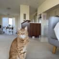 Photo of Gus