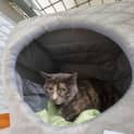 Photo of Raindrop