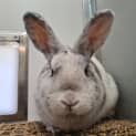 Photo of Milky