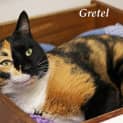 Photo of Gretel