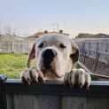 Photo of Cash