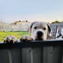Photo of Cash