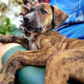 Photo of Diego
