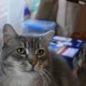 Photo of Lovebug Rupert