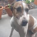 Photo of Cushla