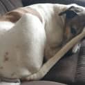 Photo of Cushla