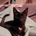 Photo of Kiara
