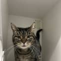 Photo of Tilly
