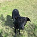 Photo of Keiko