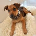 Photo of Star