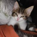 Photo of Tiny