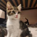 Photo of Tiny