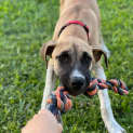 Photo of Cleo