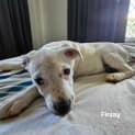 Photo of Finlay
