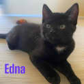 Photo of Edna
