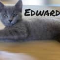 Photo of Edward