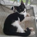 Photo of Sofie