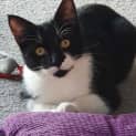 Photo of Sofie