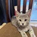 Photo of Whoopie
