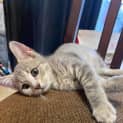 Photo of Whoopie