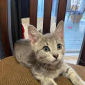 Photo of Whoopie