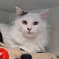 Photo of Timothy