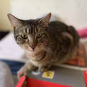 Photo of Hugo