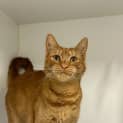 Photo of Jasper