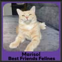 Photo of Marisol