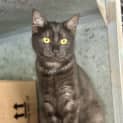 Photo of Hattie