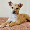 Photo of Matilda