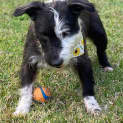 Photo of Maddie