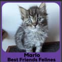 Photo of Marlo 