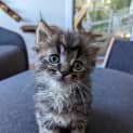 Photo of Marlo 