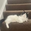 Photo of Fifi