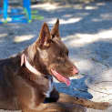 Photo of Max