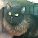Photo of Cash