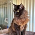 Photo of Cash