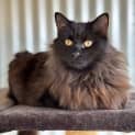Photo of Cash