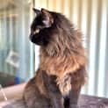 Photo of Cash