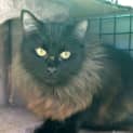 Photo of Cash