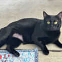 Photo of Carter