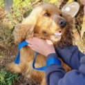 Photo of Honey