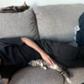 Photo of Elijah