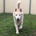 Photo of Whizzer