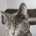 Photo of Pablo